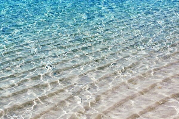 Vacaciones de verano en las olas del mar