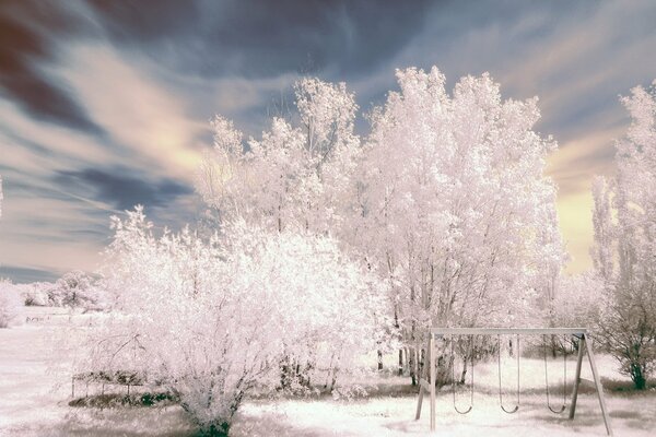 Beautiful winter landscape in the morning