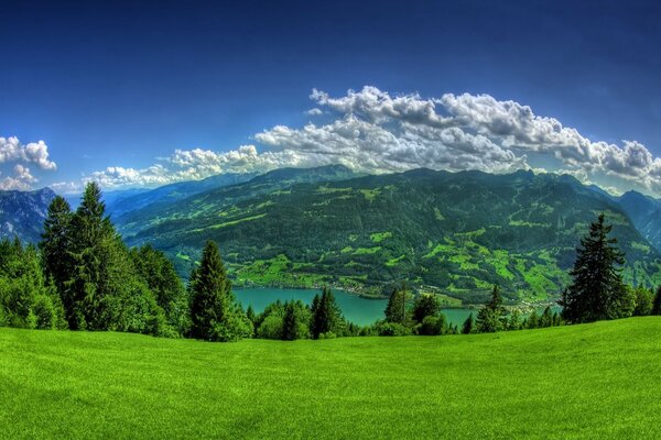 Tutto è rifuso: montagne, acqua e foresta