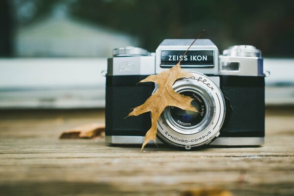 La finesse de la feuille sur les lentilles de l appareil photo