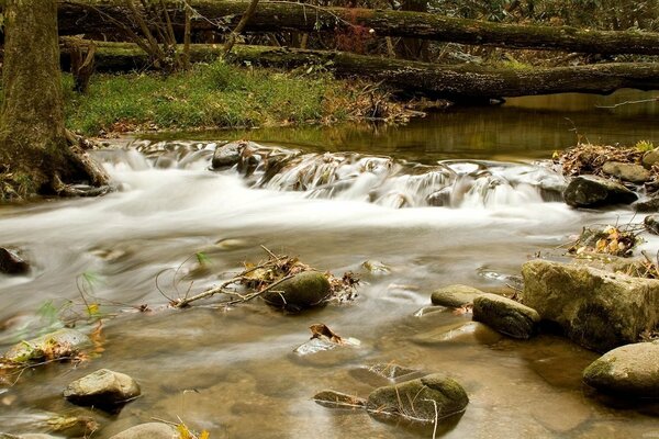 Gebirgsbach mit Steinen und kaltem Wasser