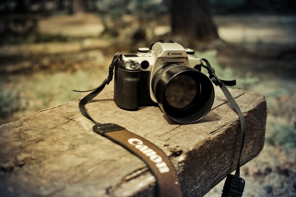 Appareil photo se trouve sur un banc dans le parc