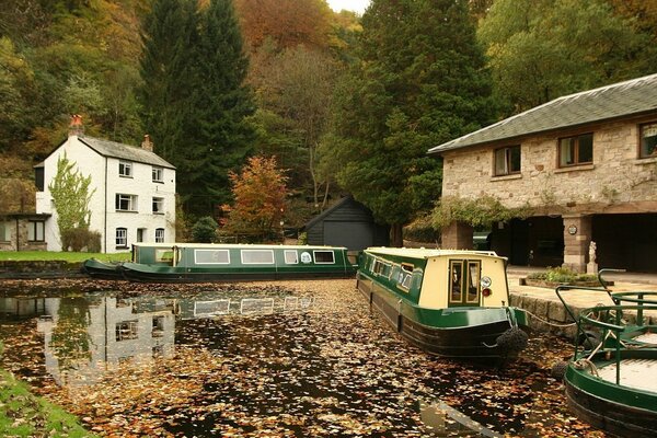 Pleasure boat on the lake with foliage