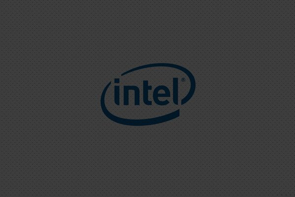 Logo firmy Intel na szarym tle