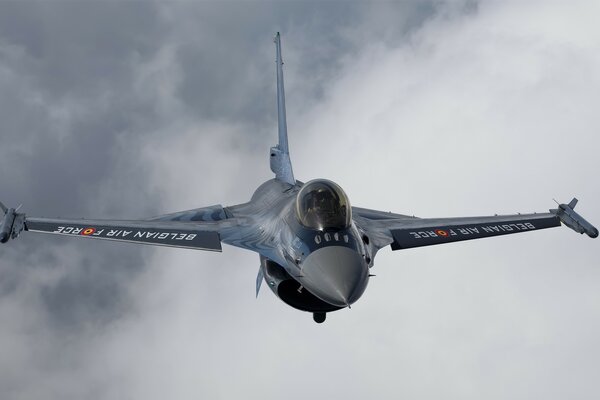 Fighter jet on a gray sky background
