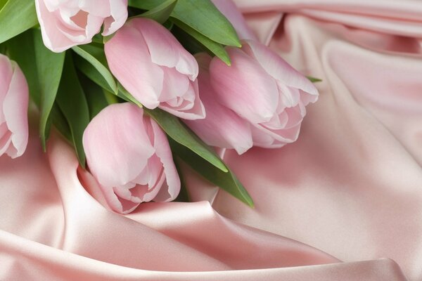 Tulipani rosa su un copriletto di seta