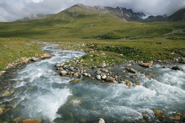 Mountain stream on green meadows