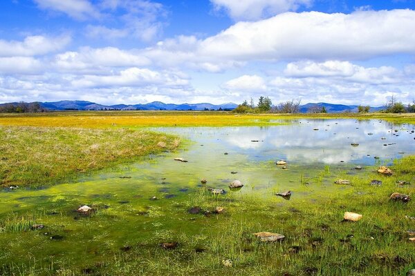 Lac marécageux et ciel bleu nuageux