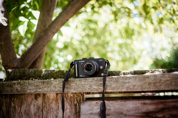 The new Panasonic Olympus camera on a tree