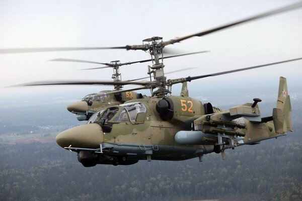 Military helicopters fly over the forest