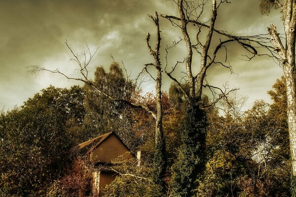 Dans le ciel, les nuages se rassemblent au-dessus de la maison