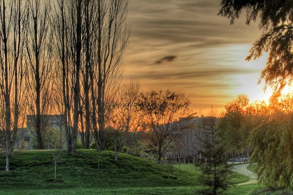 House at sunset withered trees trees