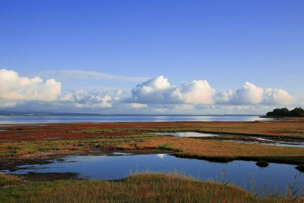 Schöne Landschaft aus blauem Wasser, Gras und blauem Himmel