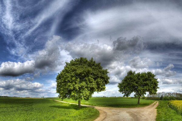 Route de sable au milieu des prairies vertes