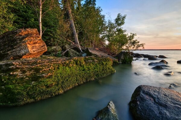 Riva del fiume con rocce ricoperte di muschio