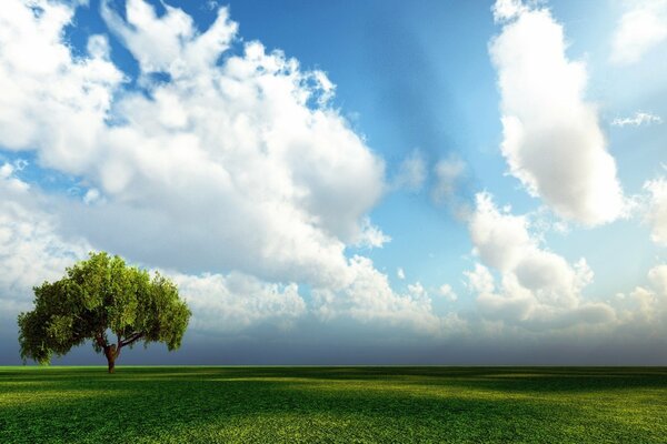 Ein ruhiger Sommertag unter dem bodenlosen Himmel