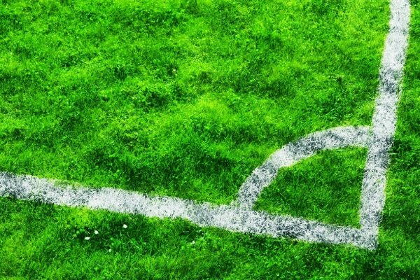Игровое поле с зеленой травой и рисунком с мелом