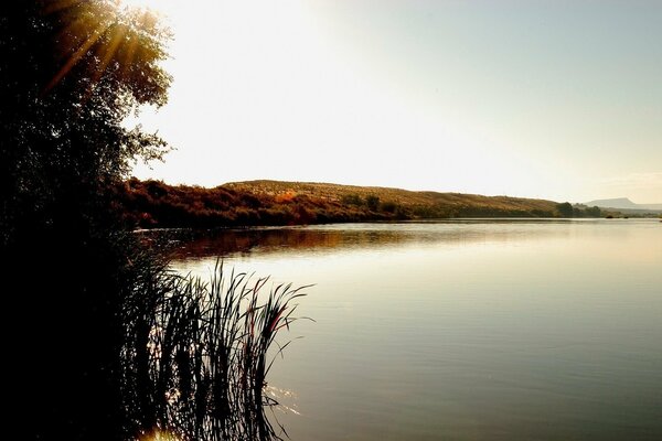 Morning nature lake dawn
