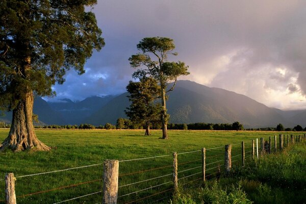 Mountain landscape in a field waiting for a thunderstorm