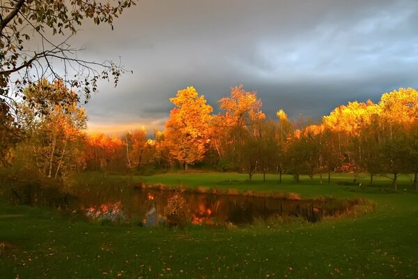 Beautiful autumn trees by the pond