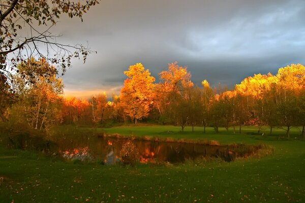 Beaux arbres d automne près de l étang