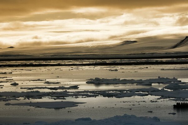 The river woke up after a winter sleep