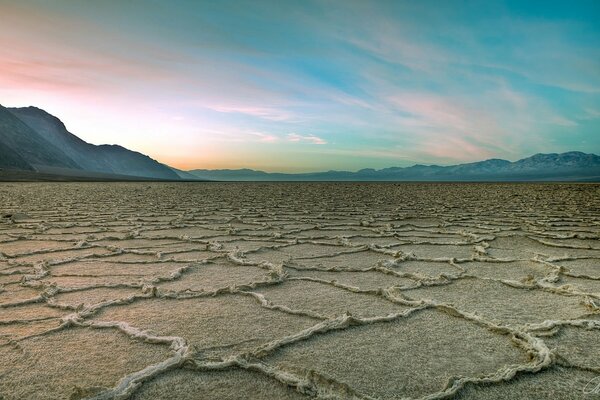 Desert landscape under a blue sky