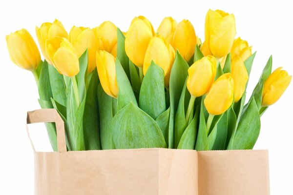 Un mazzo di fiori di tulipani gialli con lunghe foglie attende il proprietario