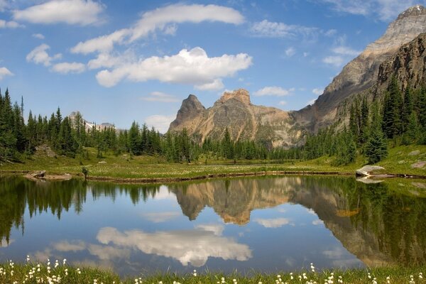 Reflection of beautiful wildlife in the mirror of the lake in