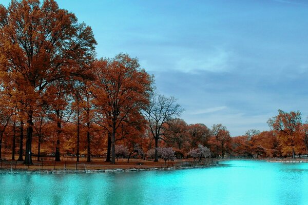 Park z błękitną wodą