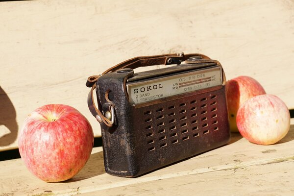 Vieja Radio sokol al lado de las manzanas