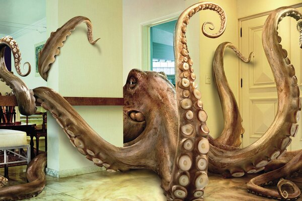 A huge octopus crawls around the apartment