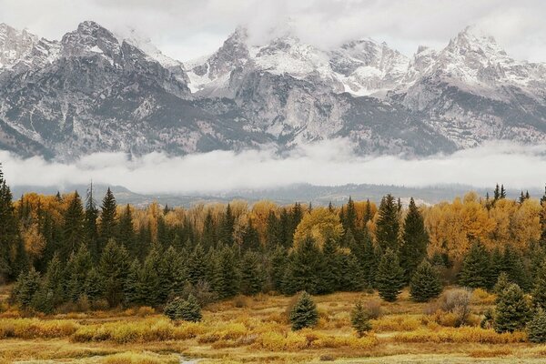 Bosque de otoño en medio de montañas nevadas