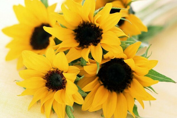Blumenstrauß für die Schönheit von Sonnenblumen - Kinder Sonnenschein
