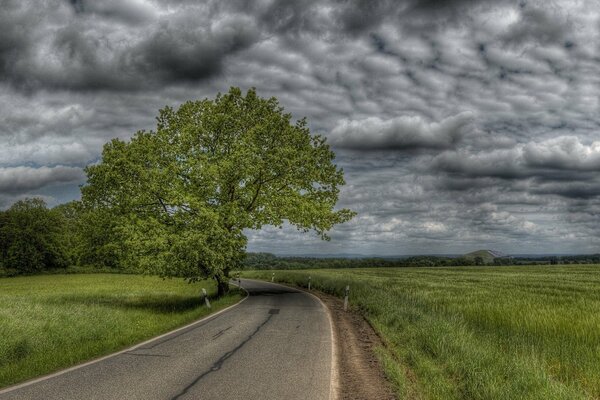 Beautiful landscape with cloudy sky