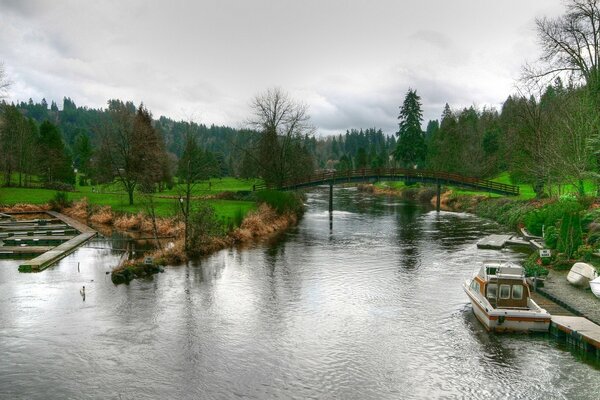 Schöne Bucht mit Brücke im Hintergrund des Waldes