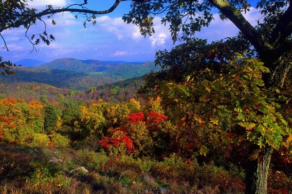 Paisaje de otoño y colores de otoño