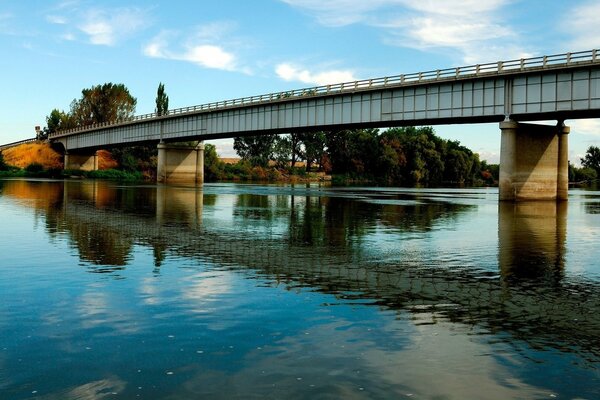 Bridge over a clear pond