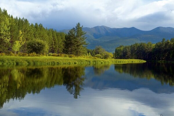 Forêt verte plan d eau