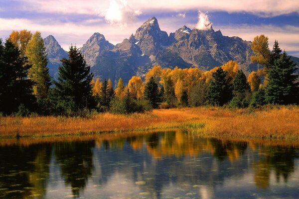 Paesaggio autunnale con erba gialla