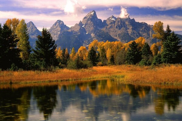 Jesienny krajobraz z żółtą trawą