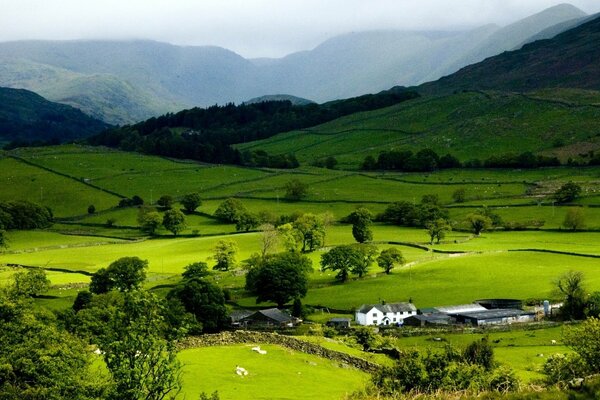 A little white house in the green mountains