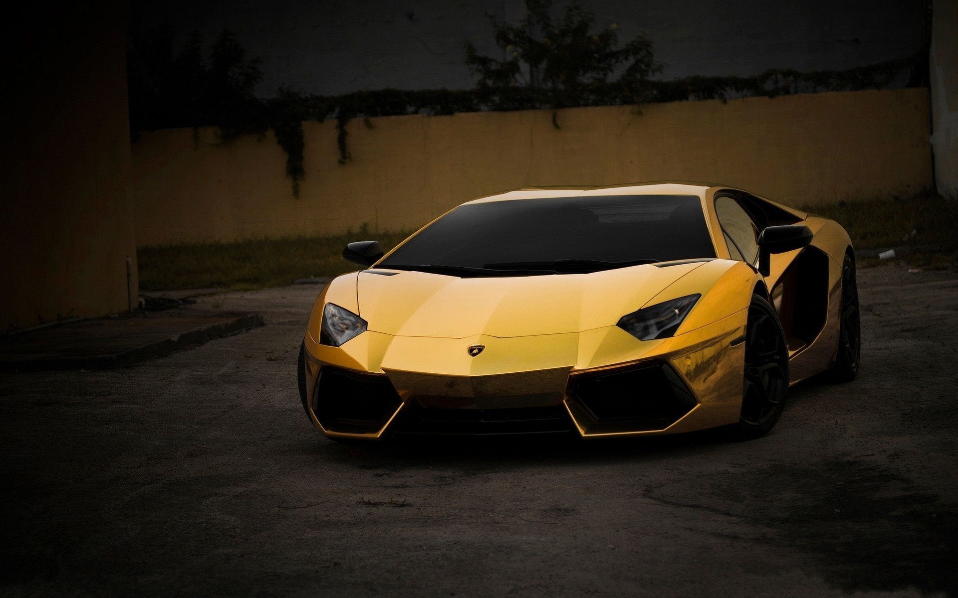 złoto lamborghini aventador