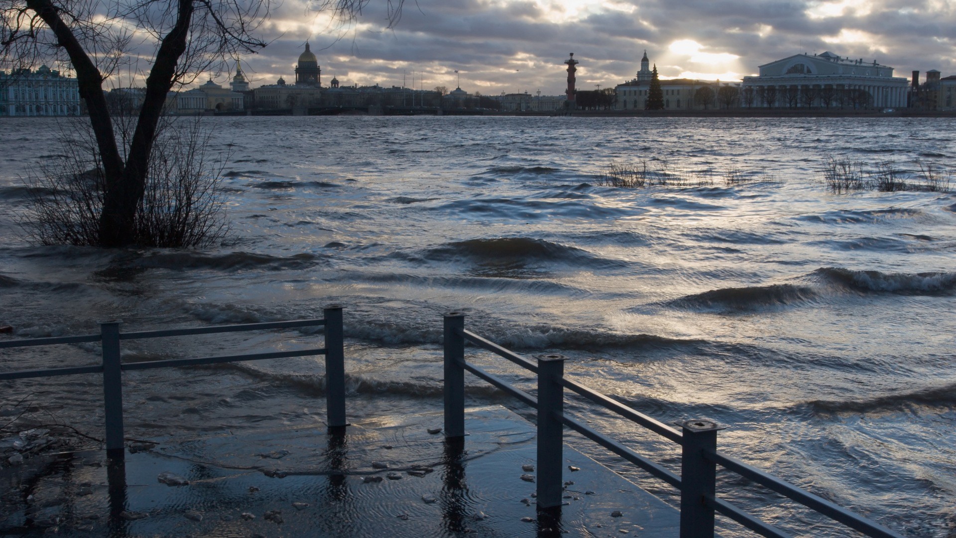 acqua fiume città onde albero sole ringhiera cielo