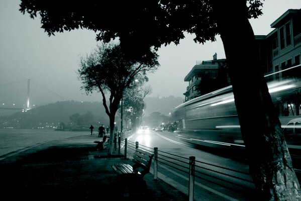 The car goes near the embankment with trees and benches