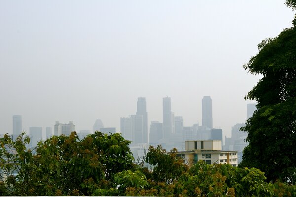 Singapore is a city of boundless sky and many trees