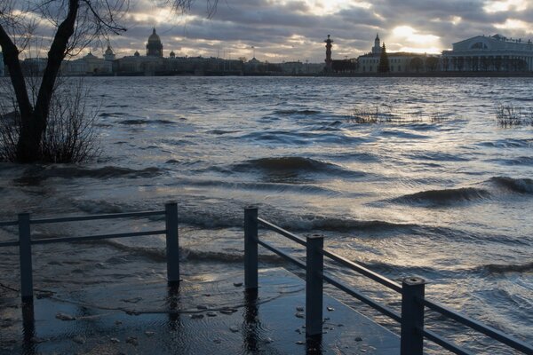 Les vagues sur l eau ont noyé l herbe