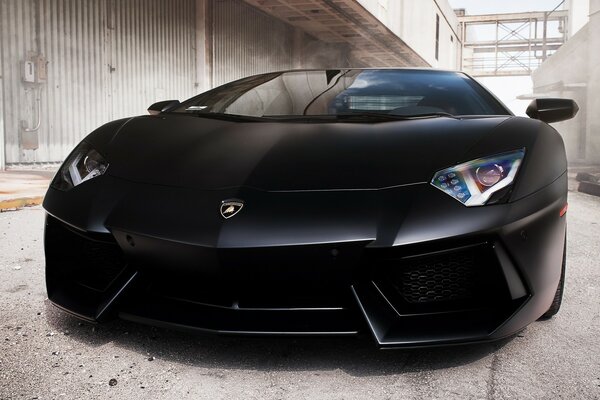 Hood of a black sports car close-up