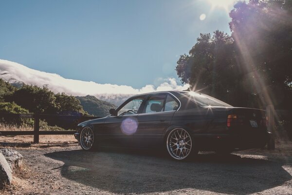 Classic BMW in a forest clearing