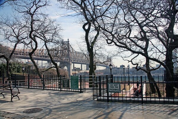 Árboles desnudos y un puente en el parque de invierno